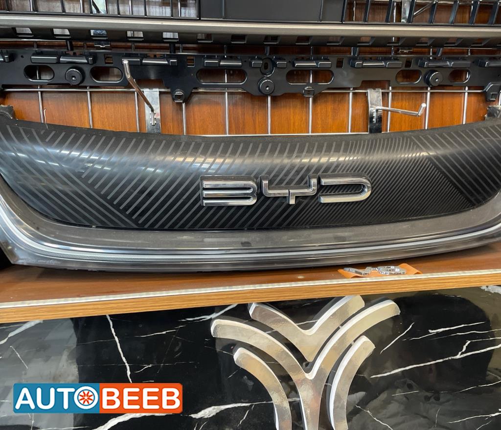 Body  Grilles BYD Dolphin