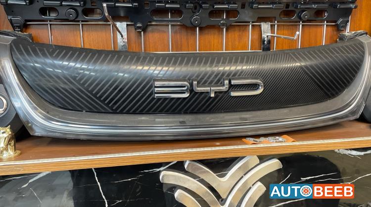 Body  Grilles BYD Dolphin
