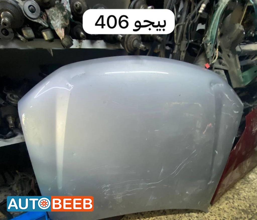 Body  Hood Peugeot 406