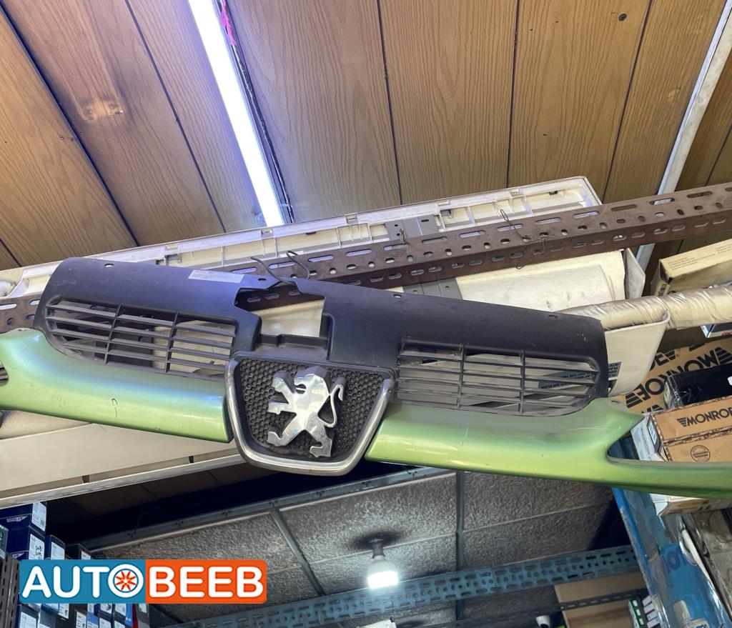 Body  Grilles Peugeot 206