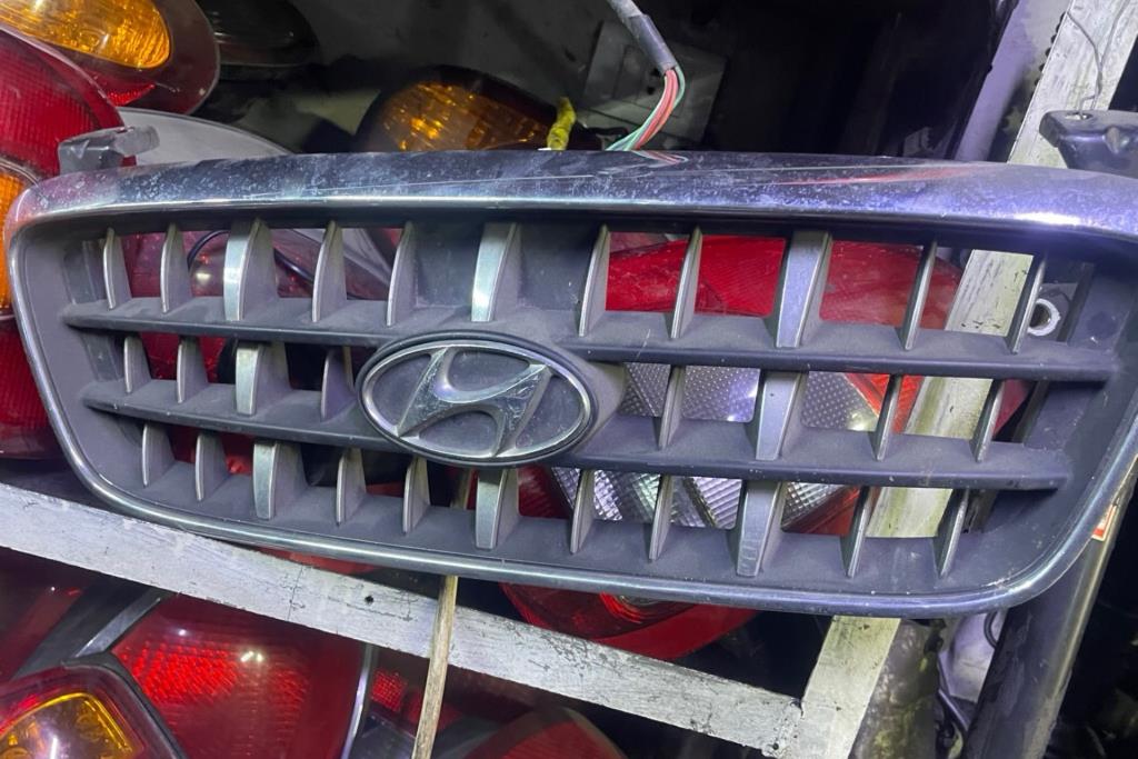 Body  Grilles Hyundai Elantra
