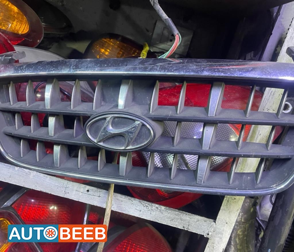 Body  Grilles Hyundai Elantra