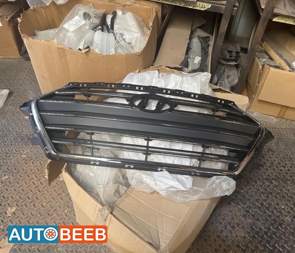 Body  Grilles Hyundai Elantra