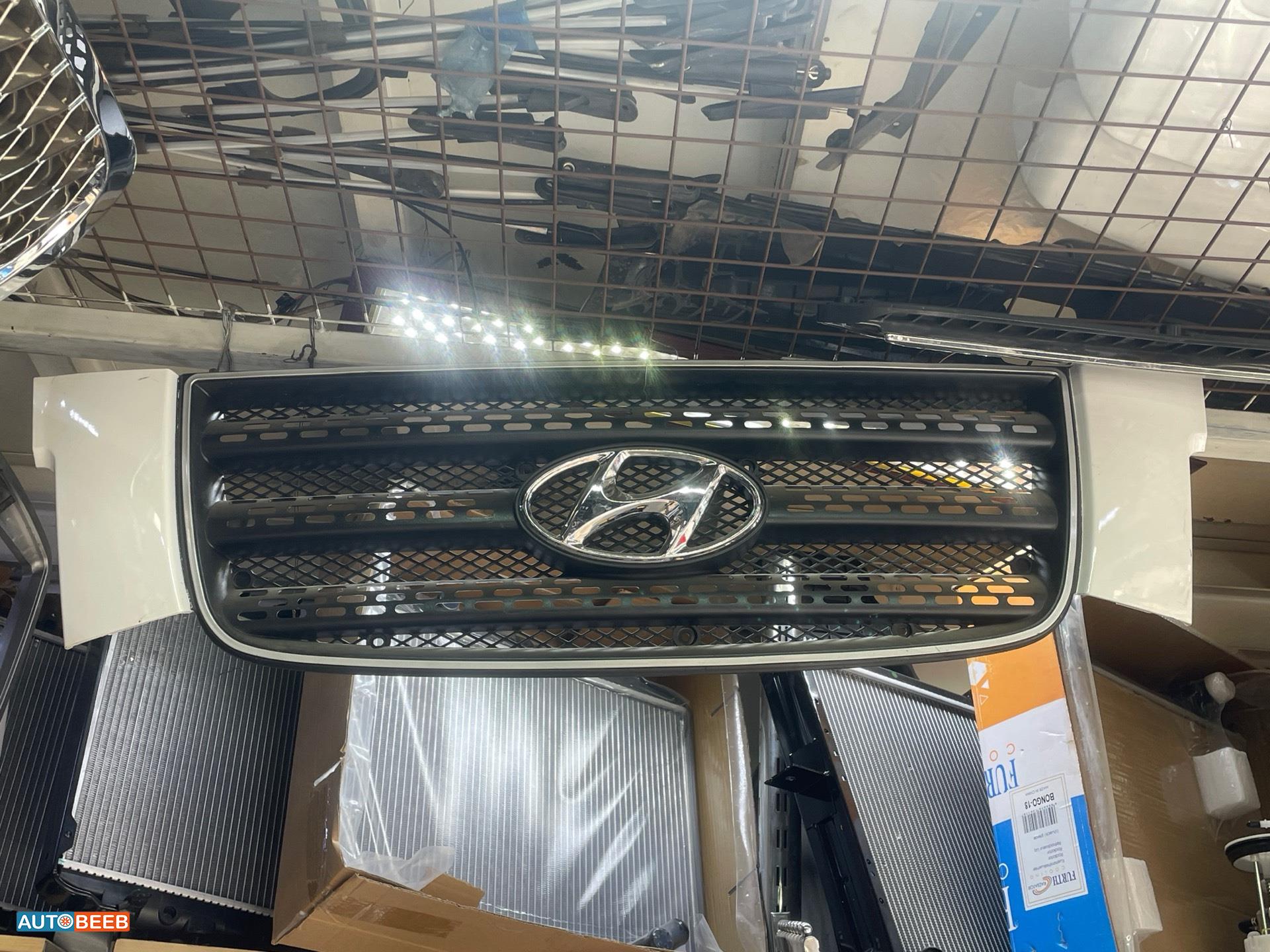 Body  Grilles Hyundai 