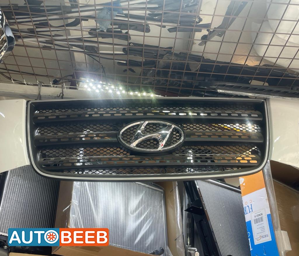 Body  Grilles Hyundai 