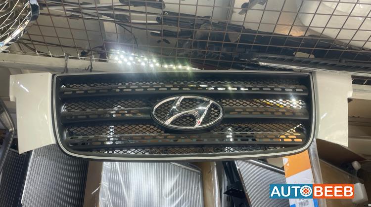 Body  Grilles Hyundai 