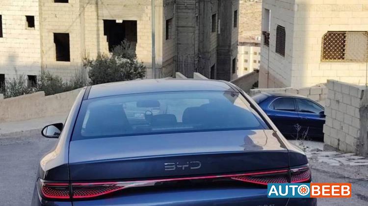 بي واي دي سيل 2025