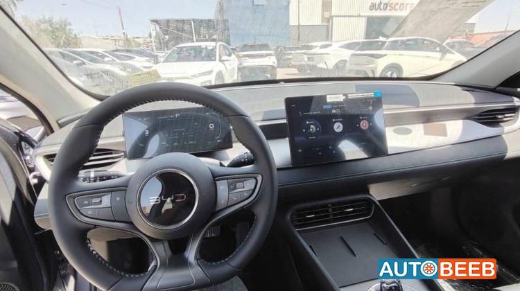 بي واي دي سيل 2025