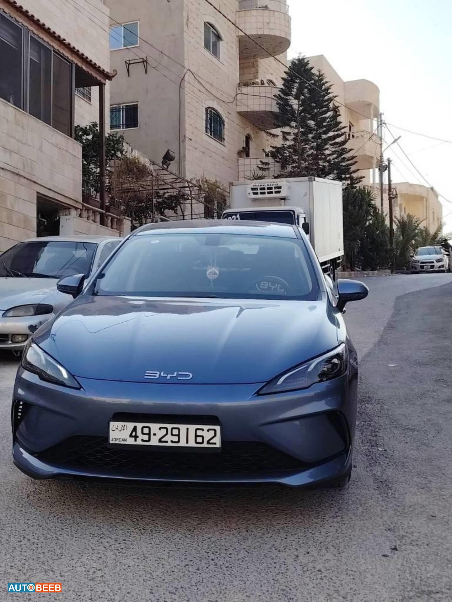 بي واي دي سيل 2025