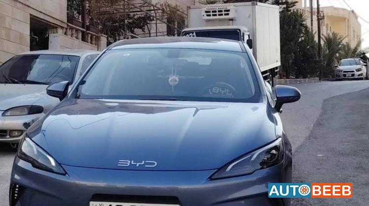 بي واي دي سيل 2025