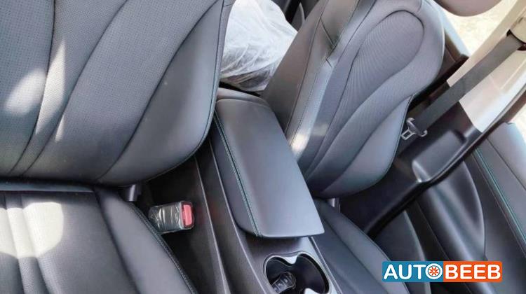 بي واي دي سيل 2025