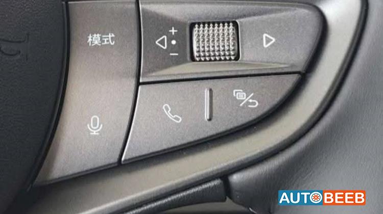 بي واي دي سيل 2025