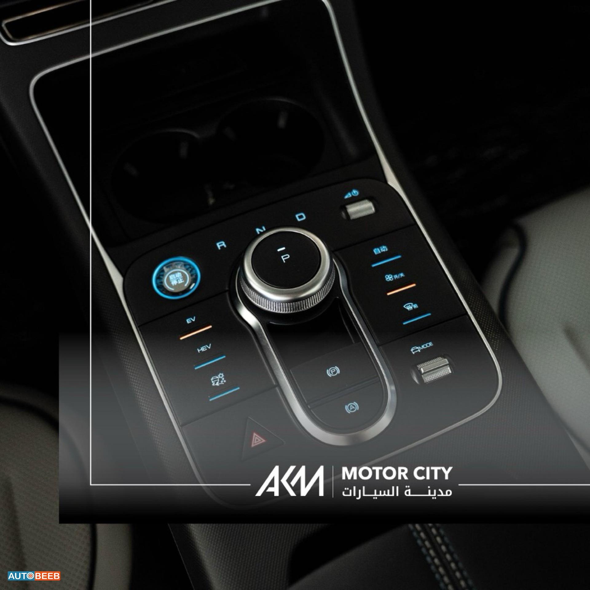 بي واي دي ديستروير 2025