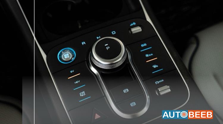 بي واي دي ديستروير 2025