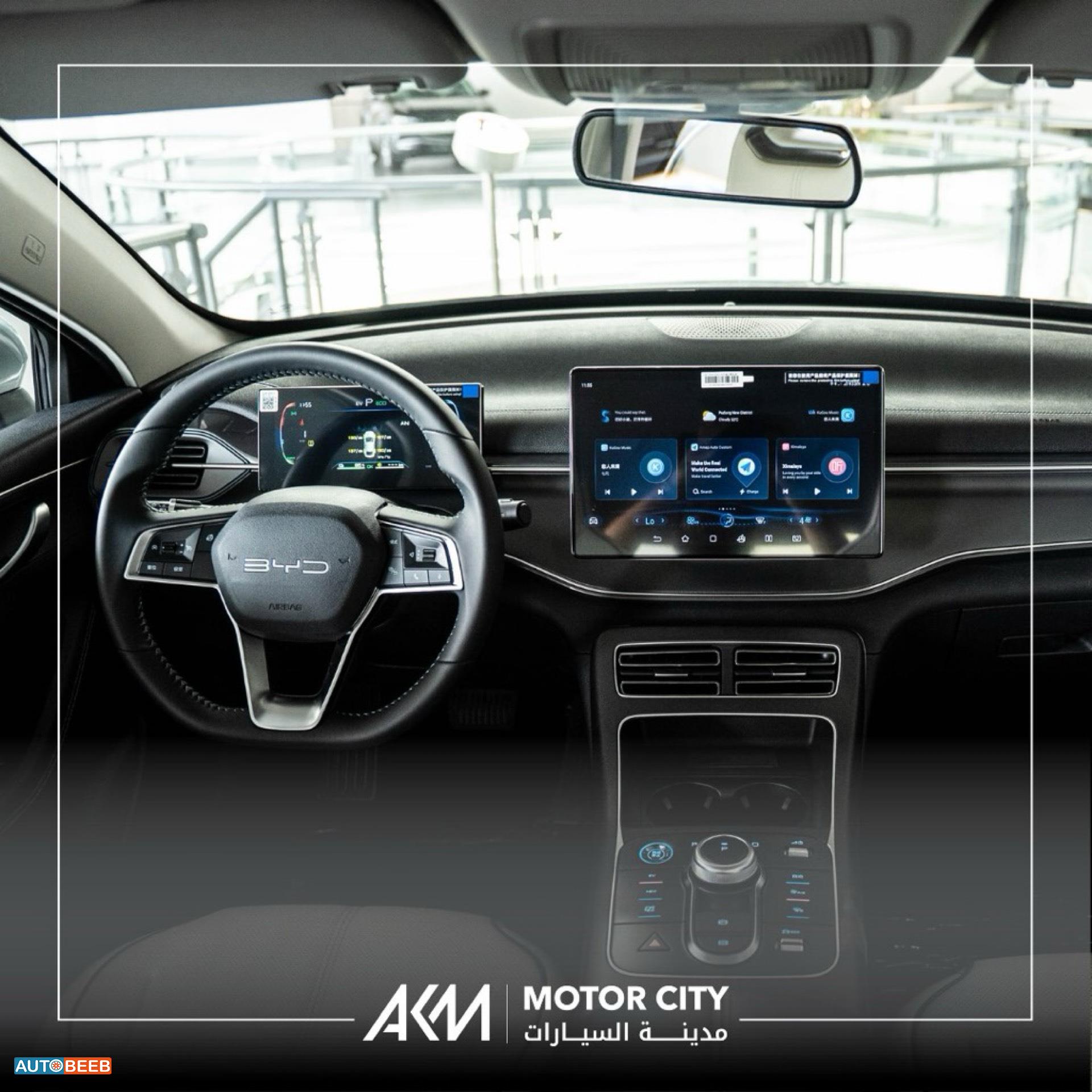 بي واي دي ديستروير 2025