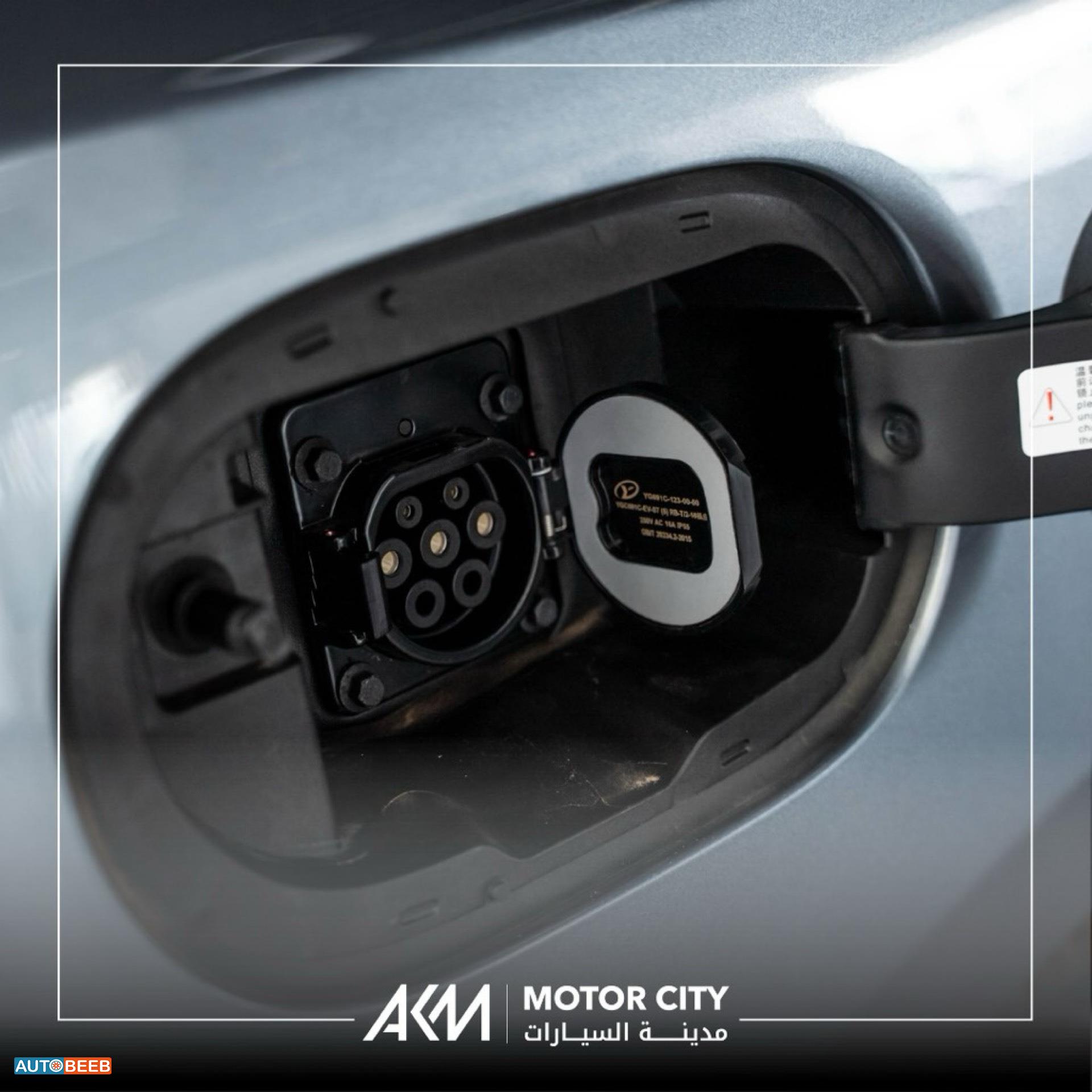 بي واي دي ديستروير 2025