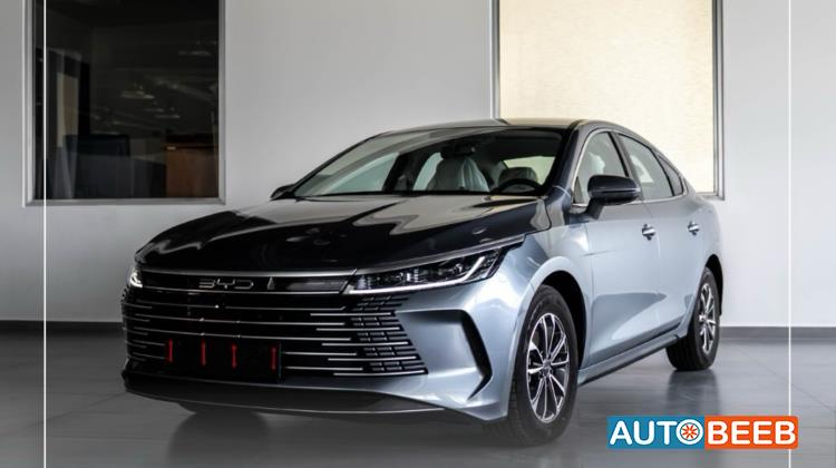 بي واي دي ديستروير 2025