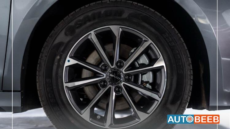 بي واي دي ديستروير 2025