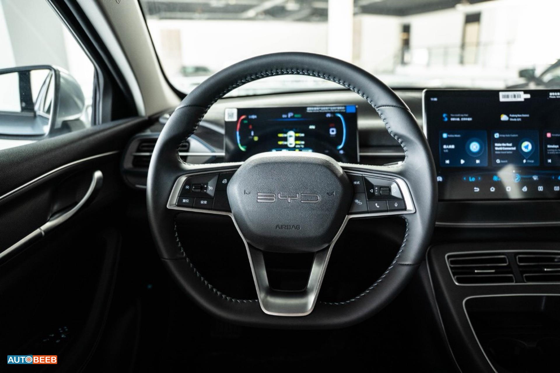 بي واي دي ديستروير 2025