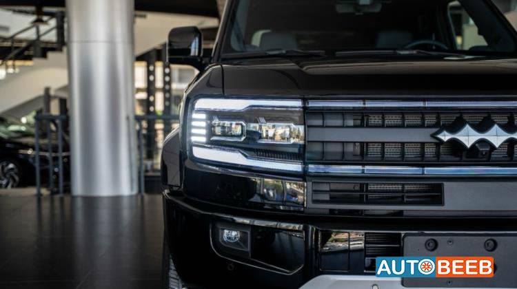 بي واي دي ليوبارد 5 2025