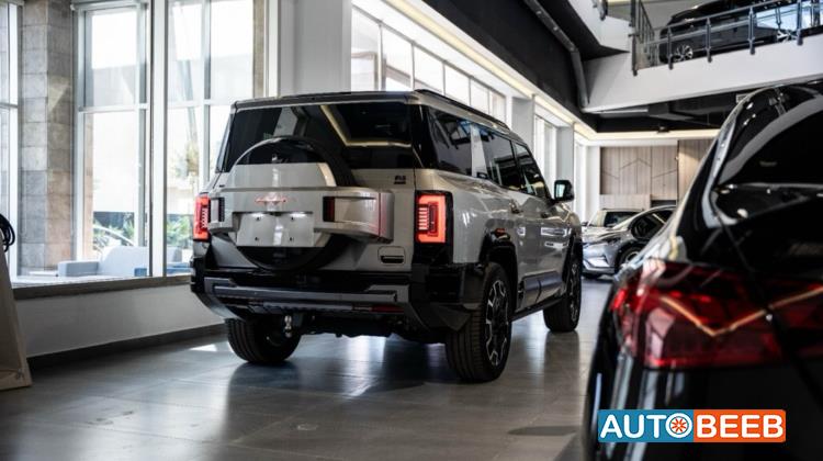 بي واي دي ليوبارد 8 2025