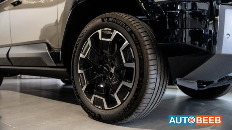 بي واي دي ليوبارد 8 2025