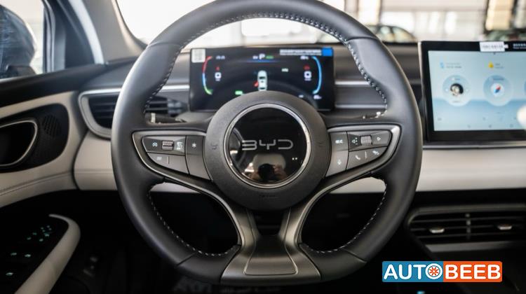 بي واي دي سيل 2025