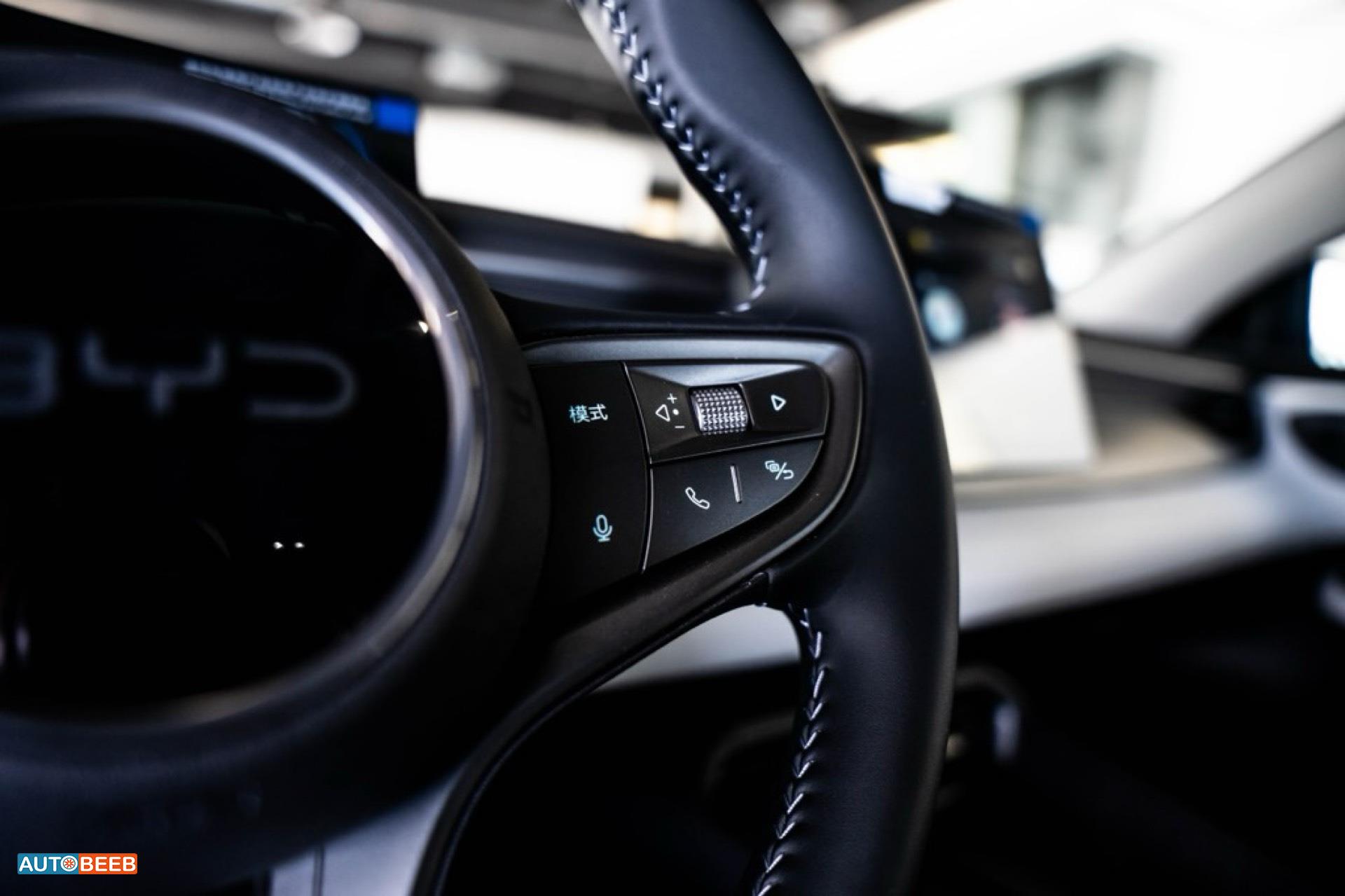 بي واي دي سيل 2025