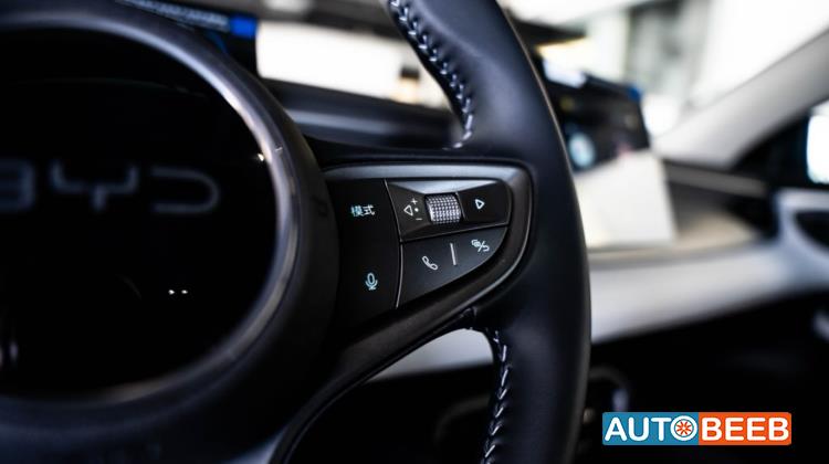 بي واي دي سيل 2025