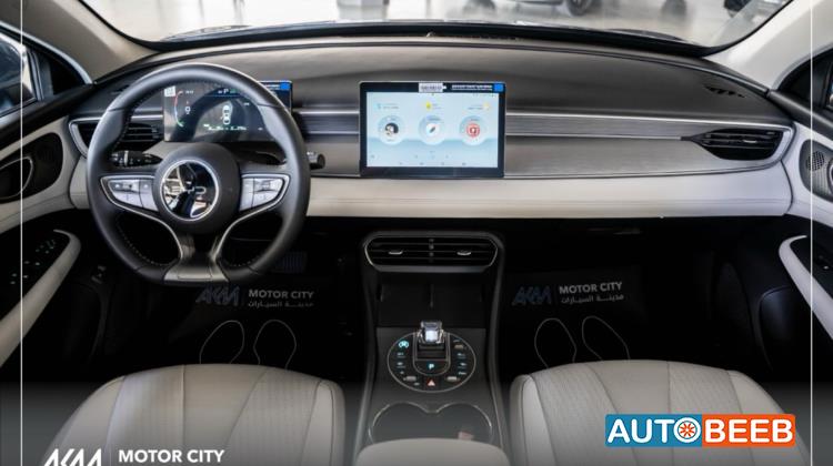 بي واي دي سيل 2025