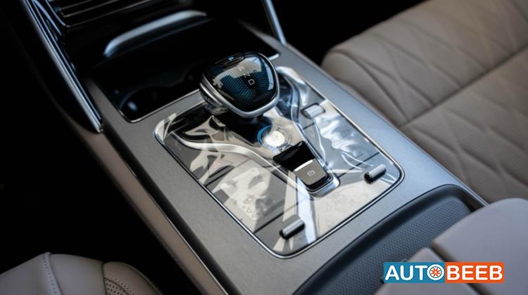 بي واي دي تانج 2025