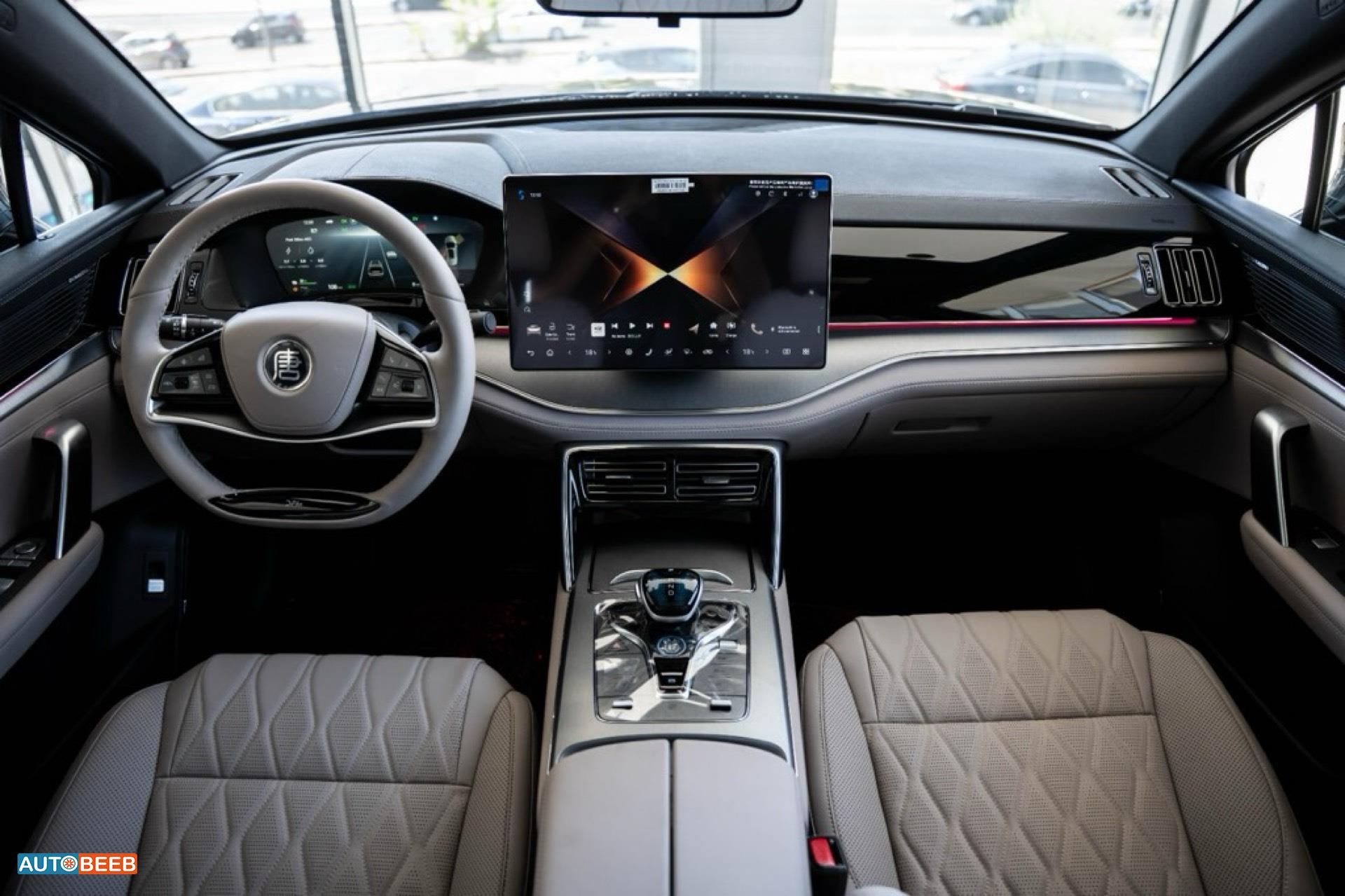 بي واي دي تانج 2025