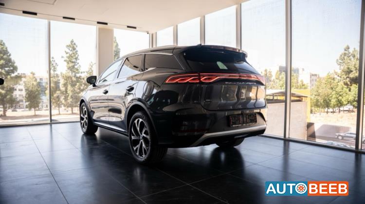 بي واي دي تانج 2025