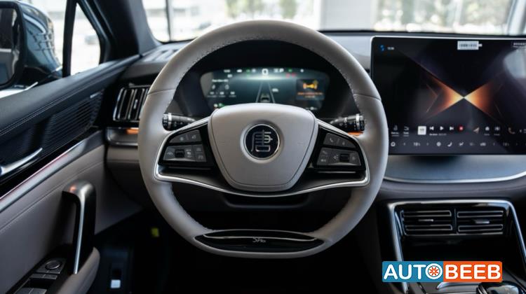 بي واي دي تانج 2025