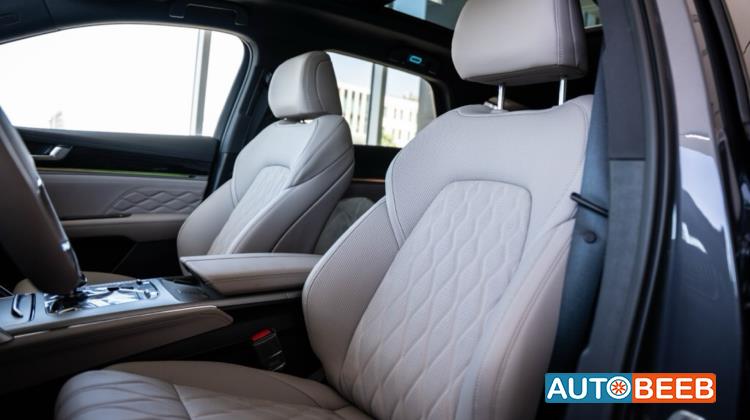 بي واي دي تانج 2025