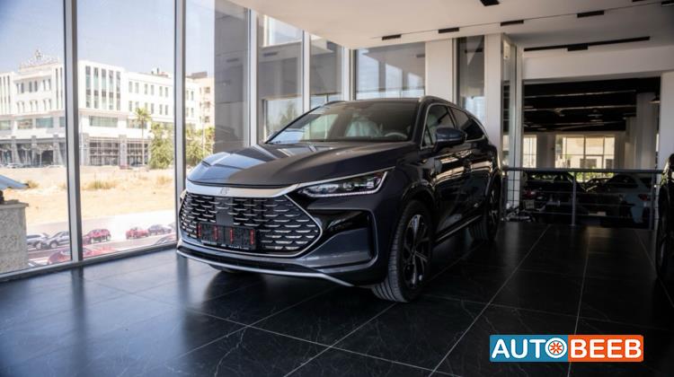 بي واي دي تانج 2025