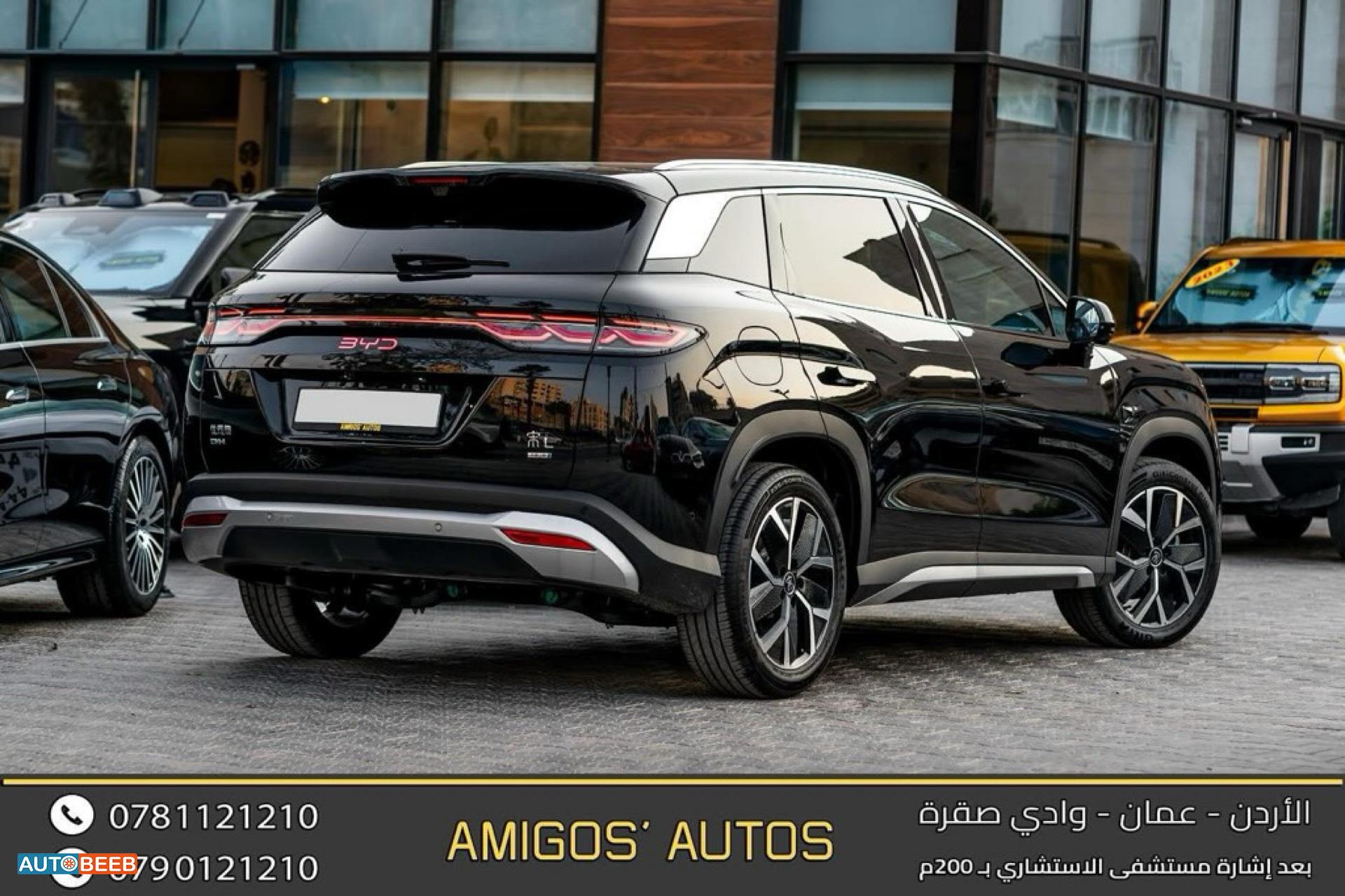 بي واي دي سونج ل 2025