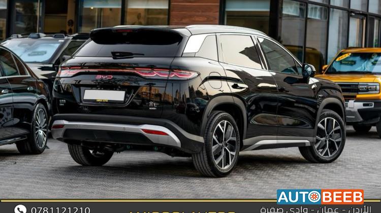 بي واي دي سونج ل 2025