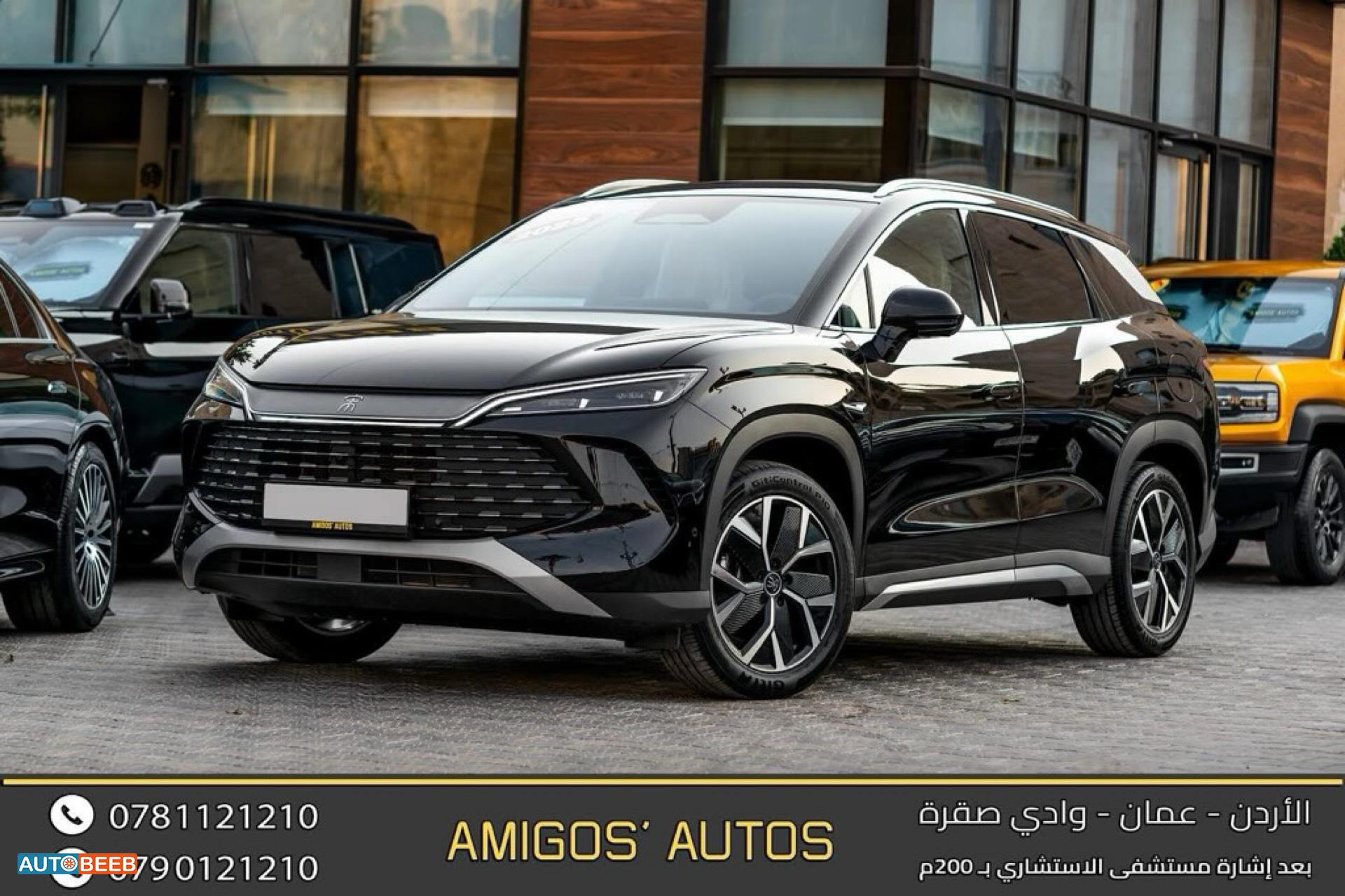 بي واي دي سونج ل 2025