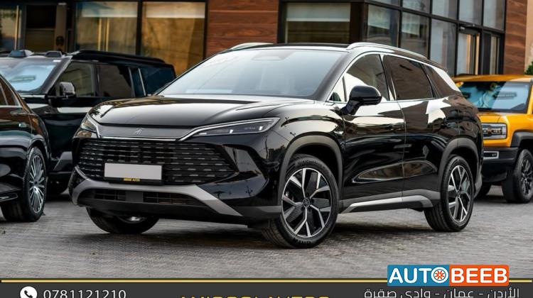 بي واي دي سونج ل 2025