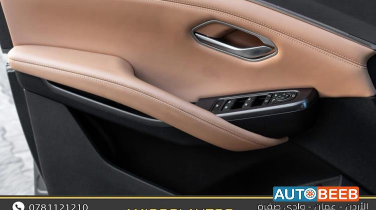 بي واي دي سونج ل 2025