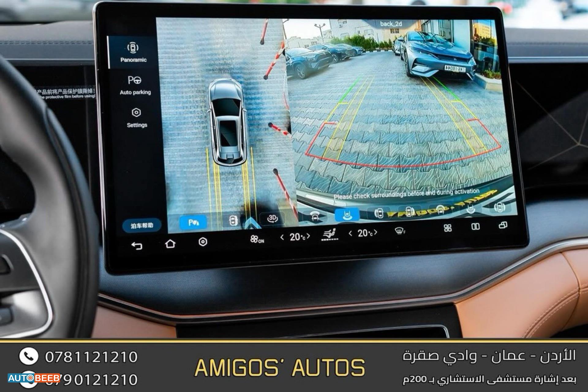 بي واي دي سونج ل 2025