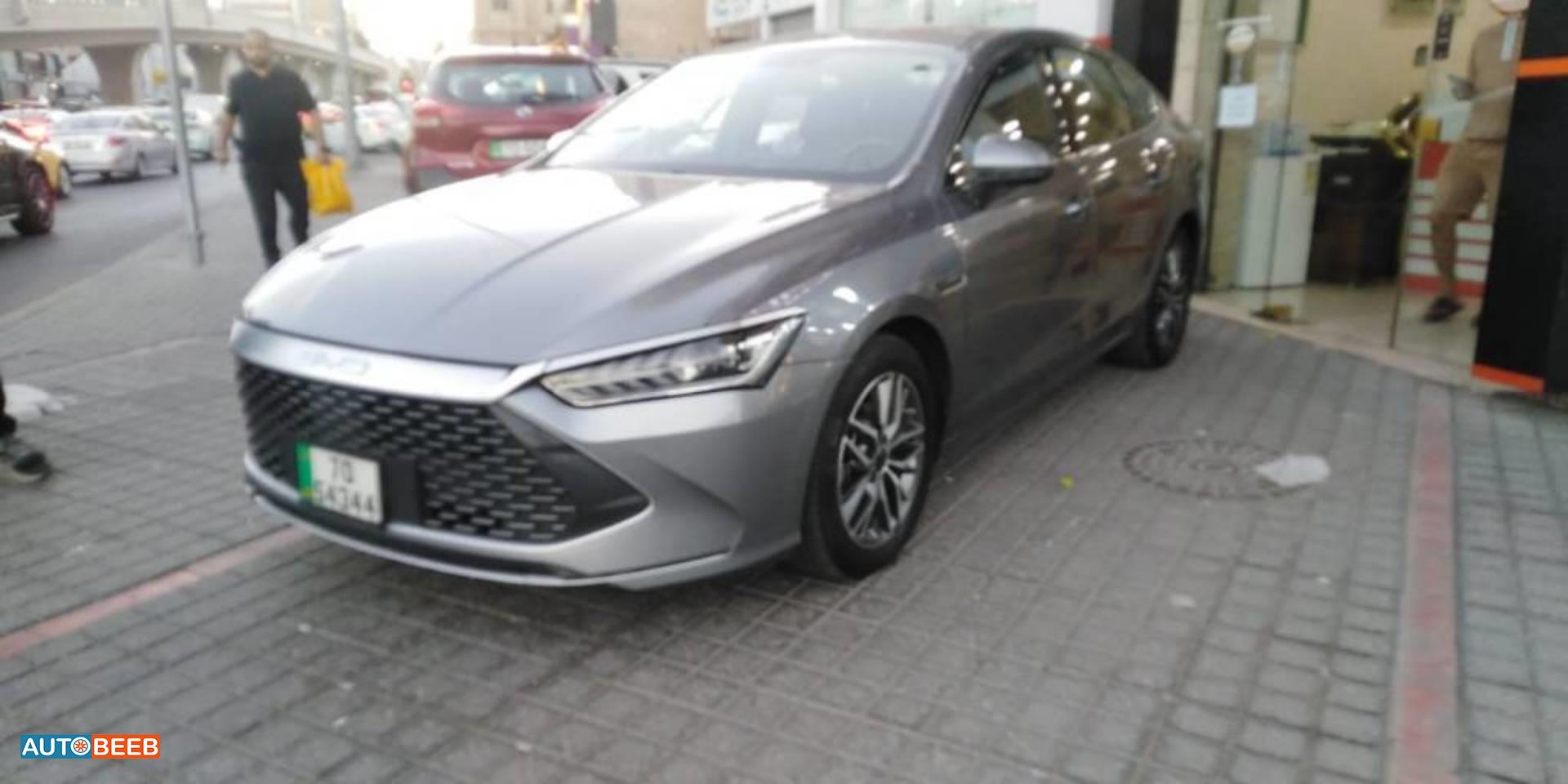 بي واي دي كين 2024