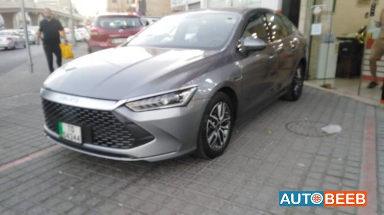 بي واي دي كين 2024