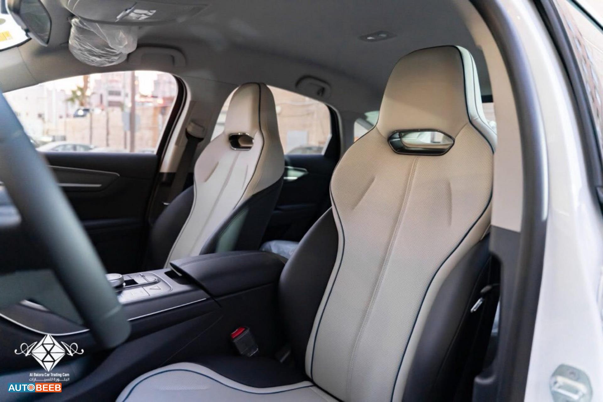 بي واي دي ديستروير 2025