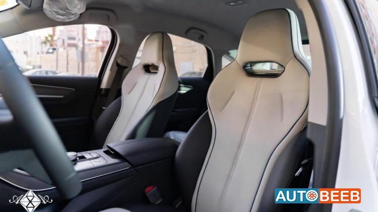 بي واي دي ديستروير 2025