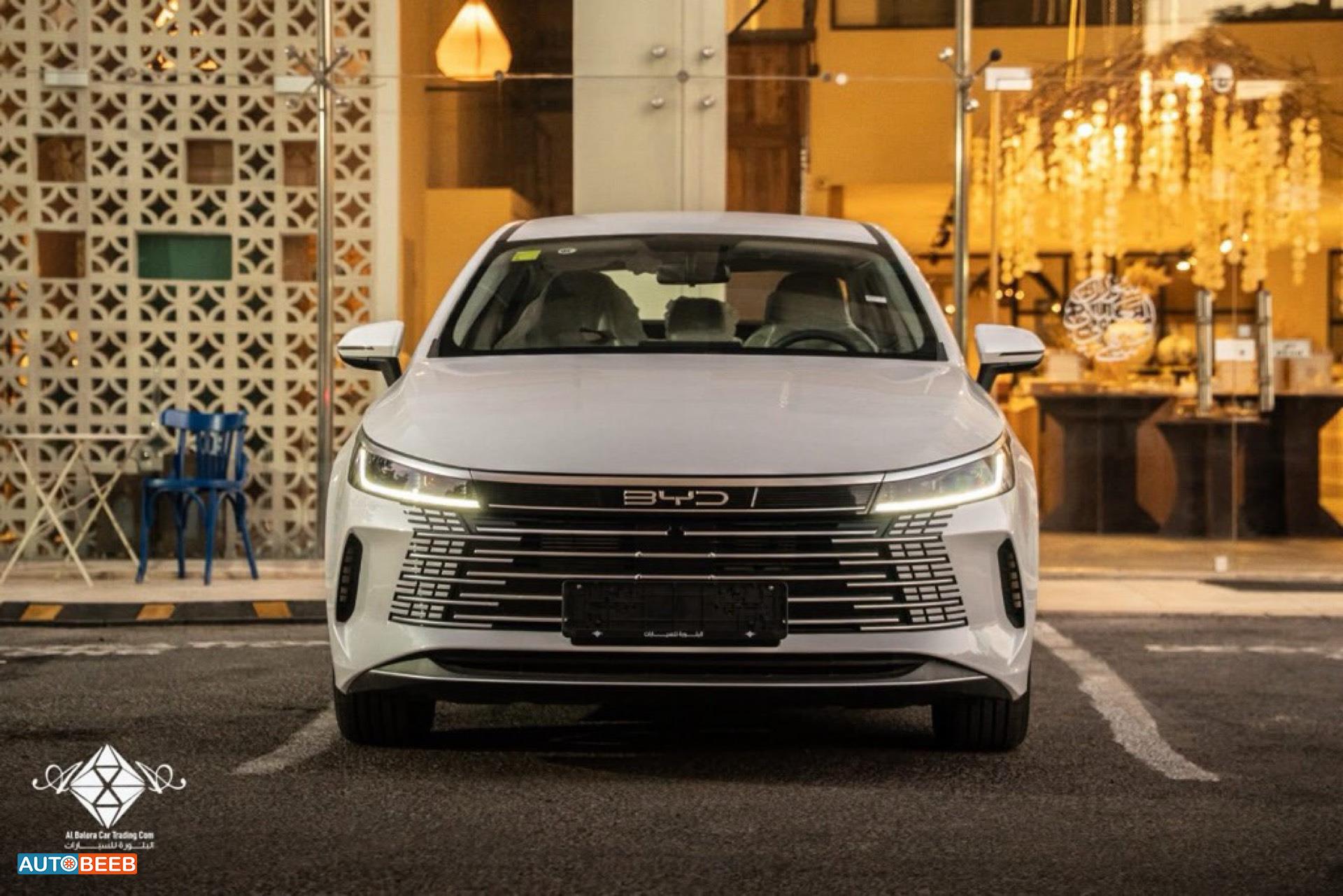 بي واي دي ديستروير 2025