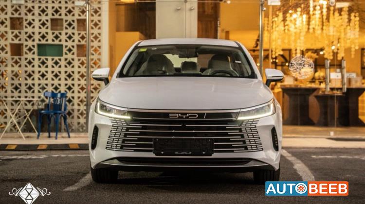 بي واي دي ديستروير 2025