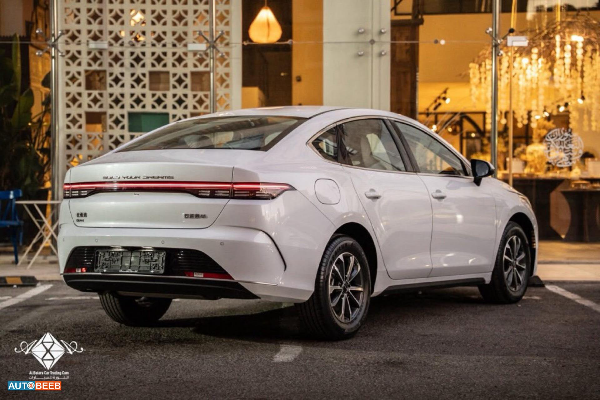 بي واي دي ديستروير 2025