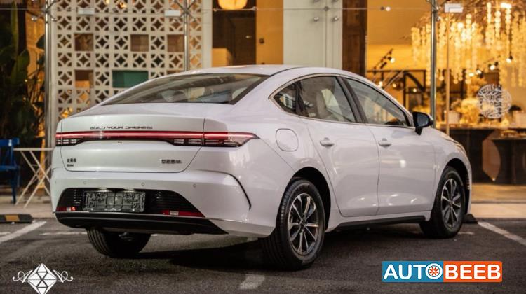 بي واي دي ديستروير 2025